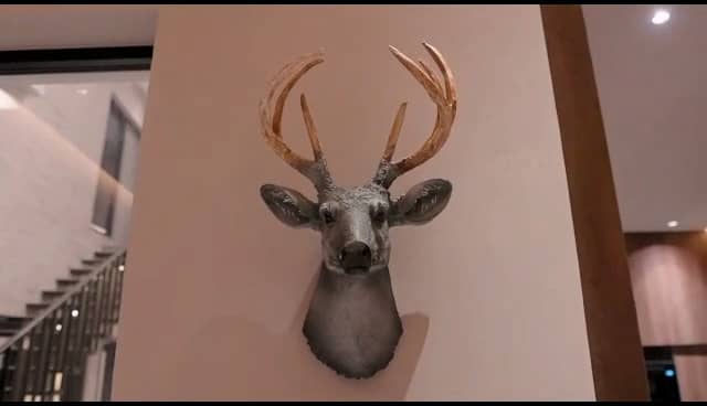 20 Marla Brand New Luxury House for Sale in DHA Phase 7 Lahore 7